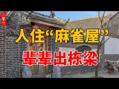 麻雀进屋|【麻雀進屋什麼意思】麻雀進宅，吉兆還是凶兆？揭秘麻雀進屋背。